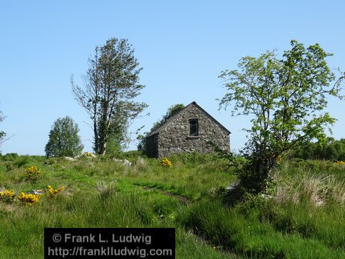 Spring in Glenfarne